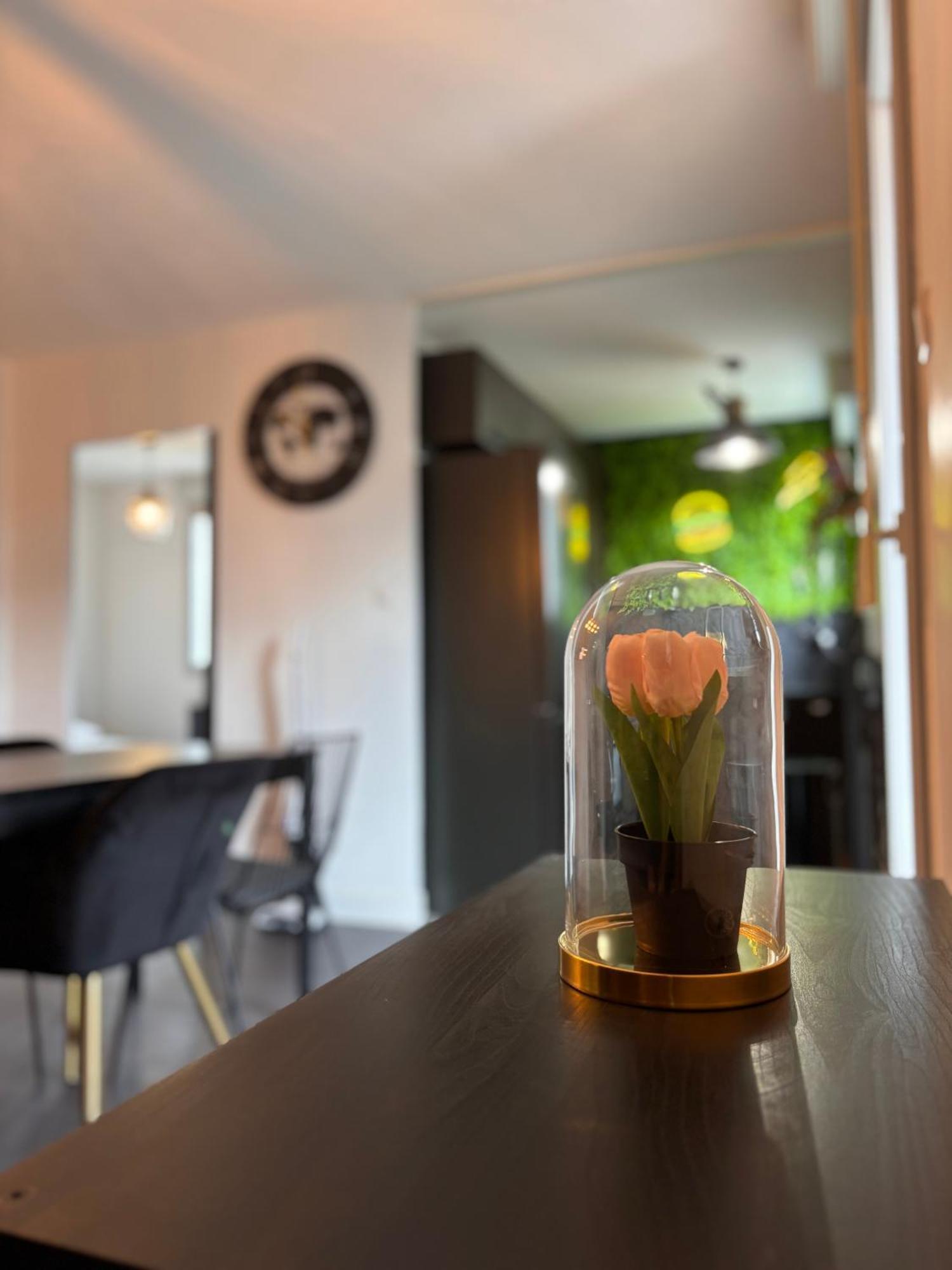 Charmant Appartement Toulouse Ngoại thất bức ảnh
